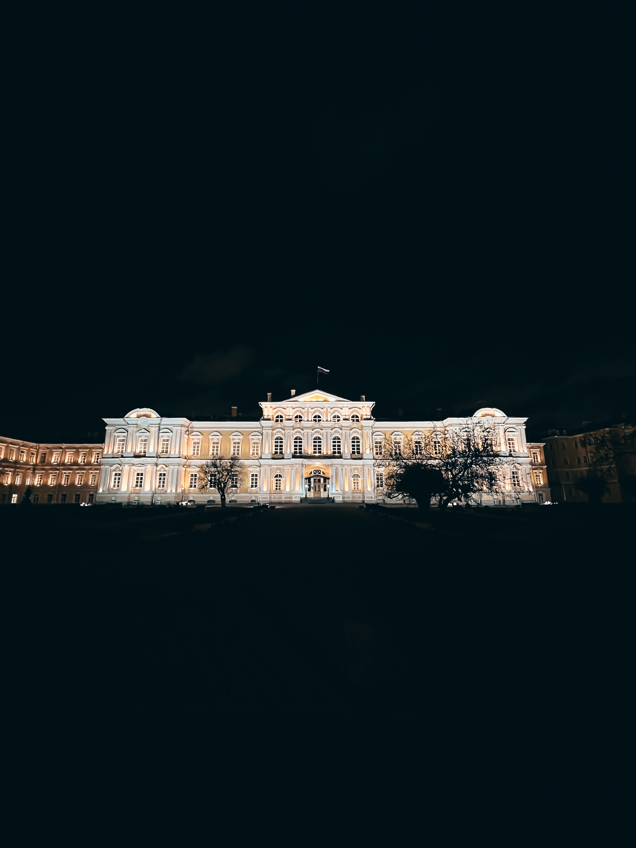 Воронцовский дворец в Петербурге · фото из поездки