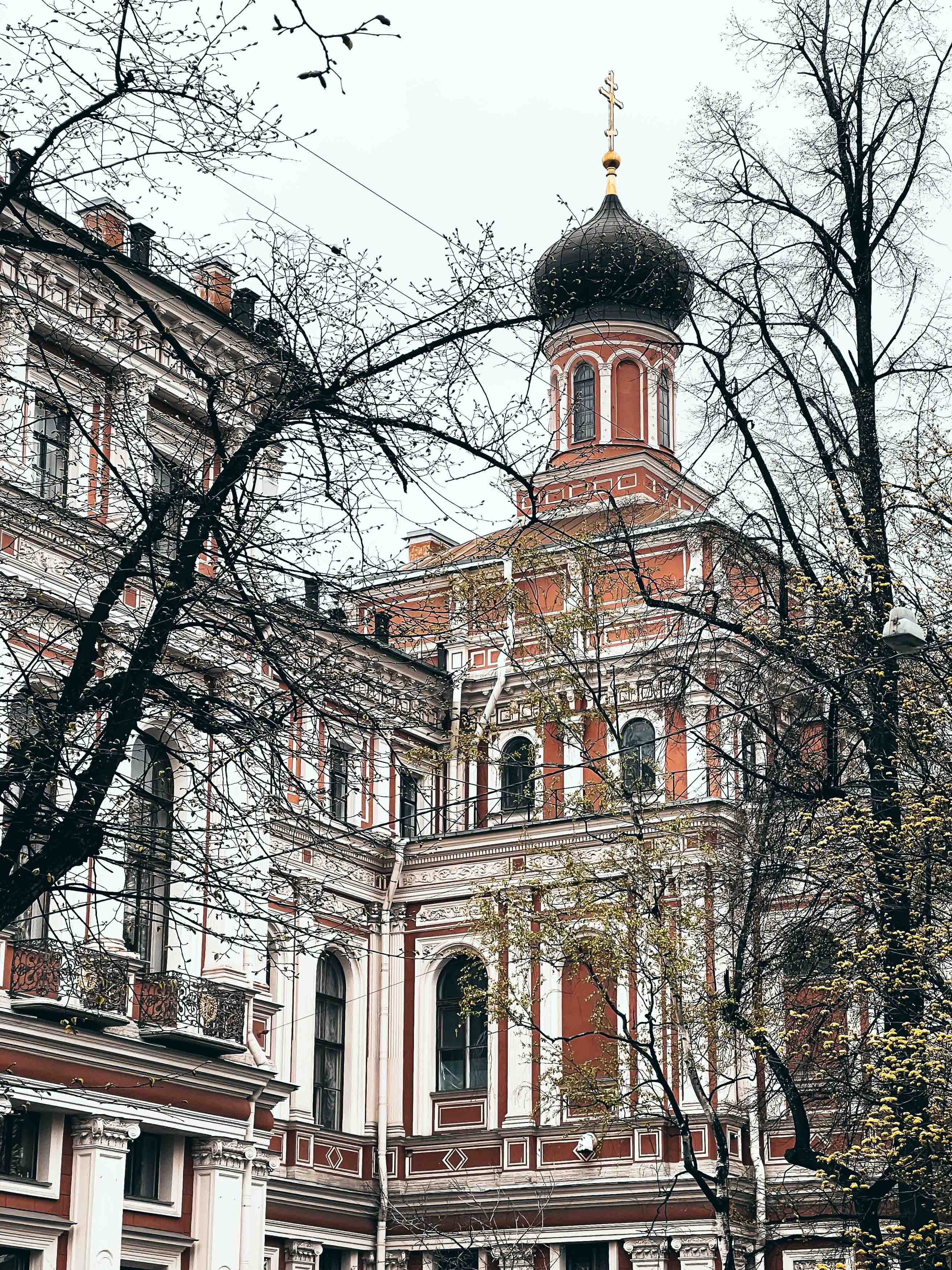 Фотография Николаевский Дворец из коллекции проекта