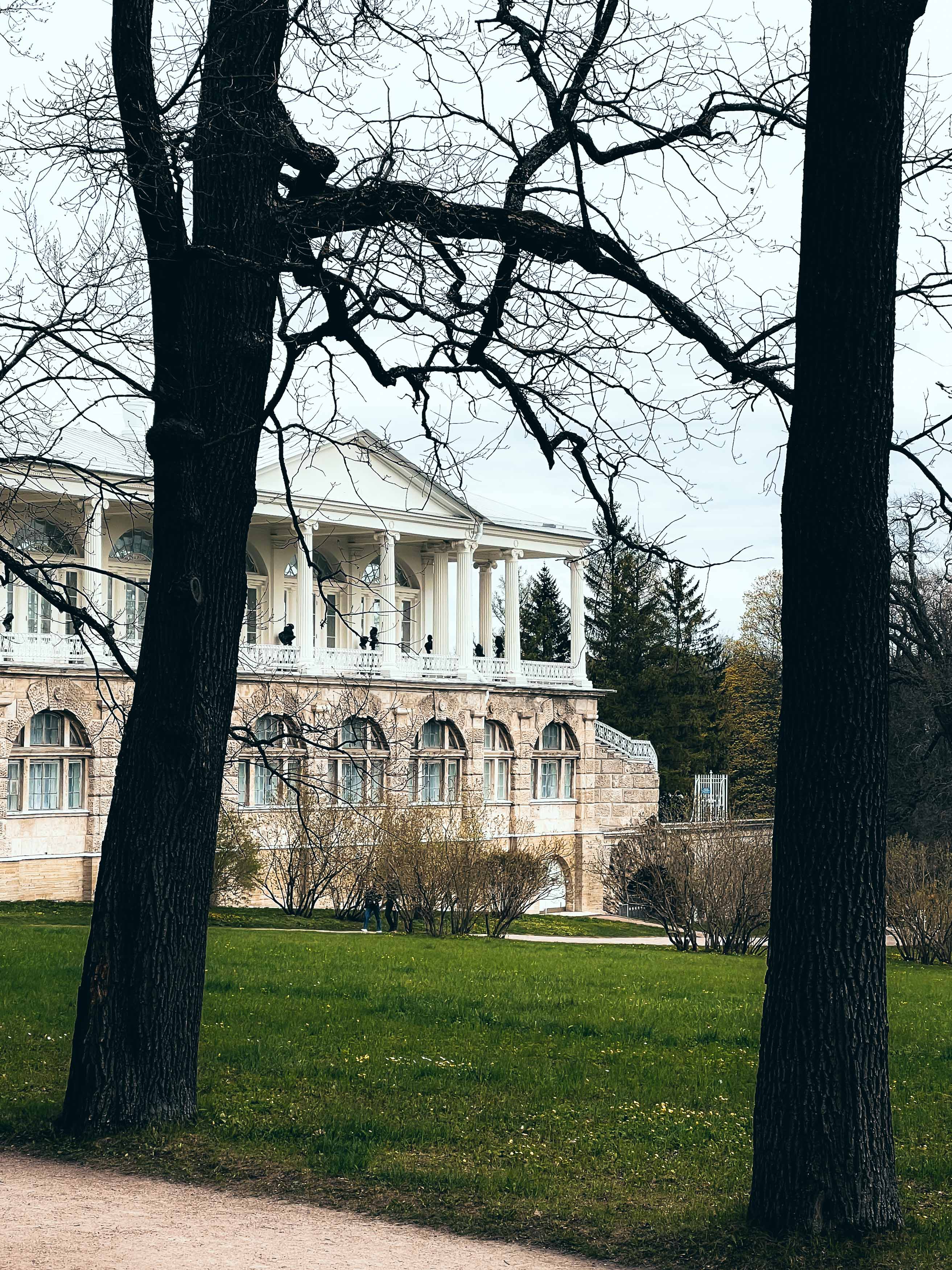 Фотография Камеронова галерея из коллекции проекта
