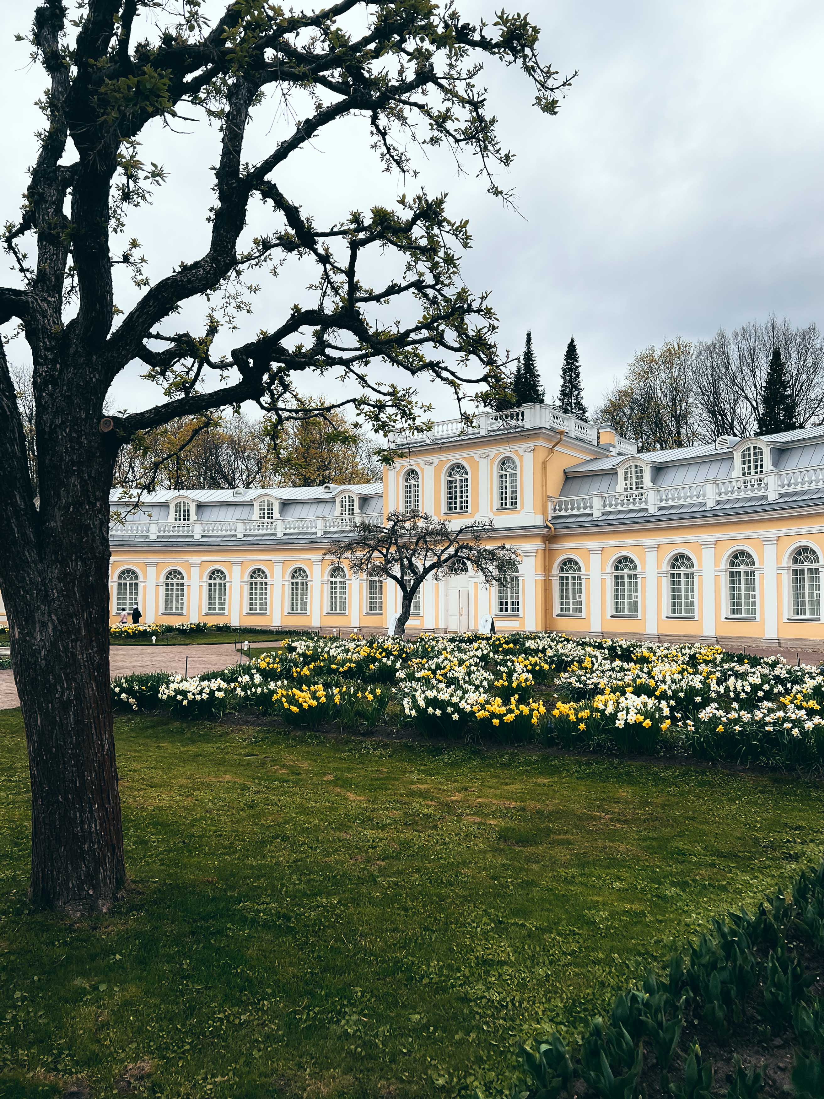 Фотография из коллекции проекта «Красивые места России»