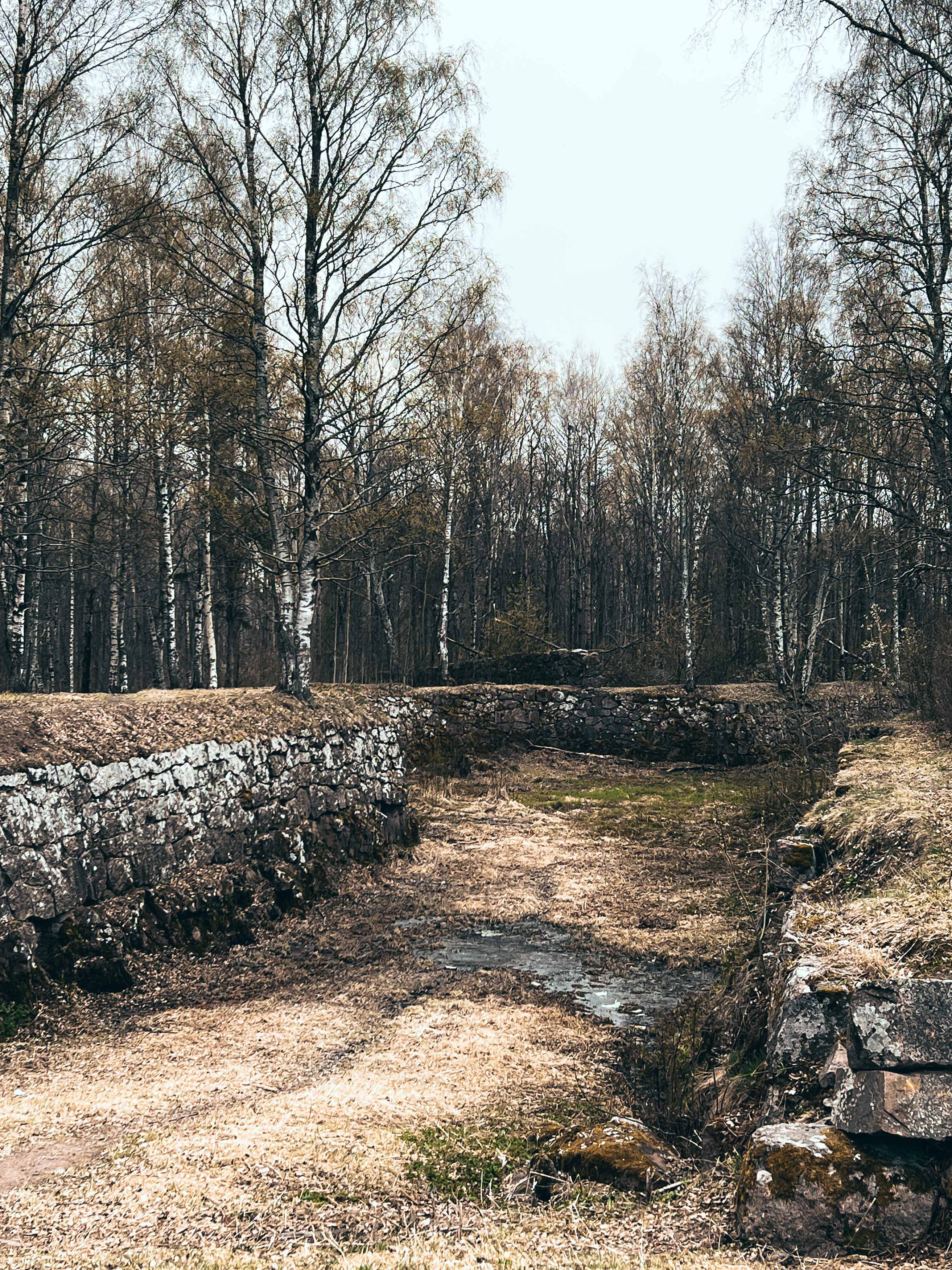 Фотография из коллекции проекта «Красивые места России»
