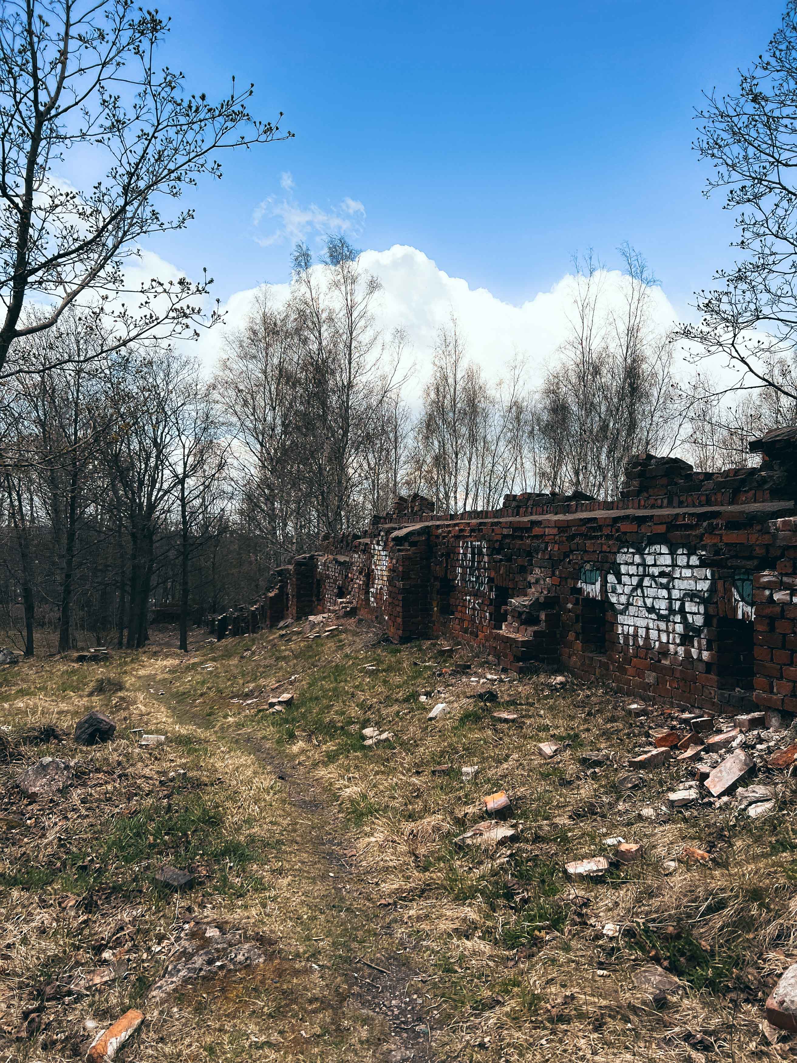 Фотография из коллекции проекта «Красивые места России»