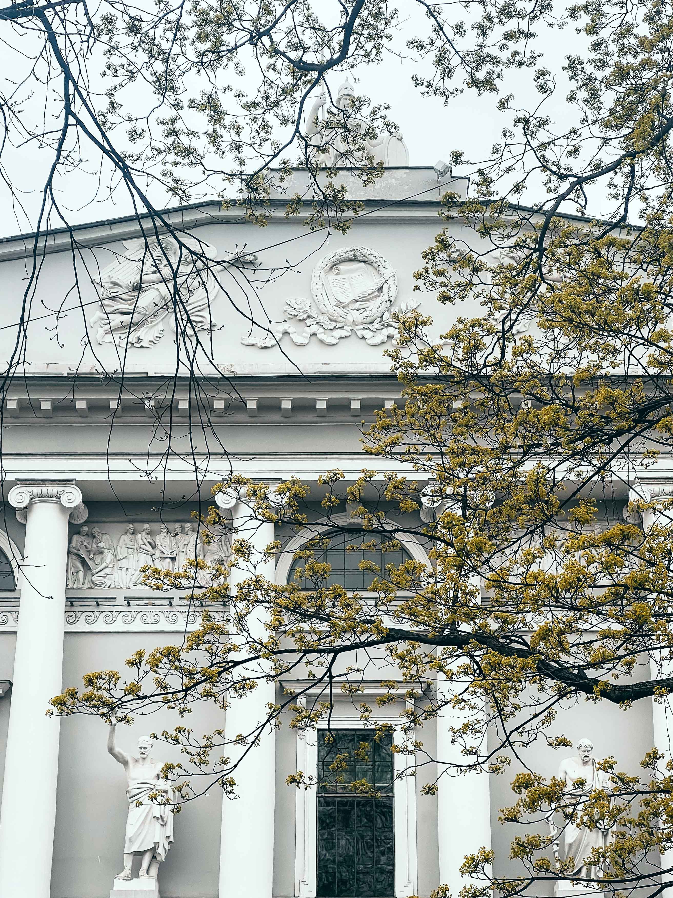 Публичная библиотека в Петербурге: Соколов и Росси