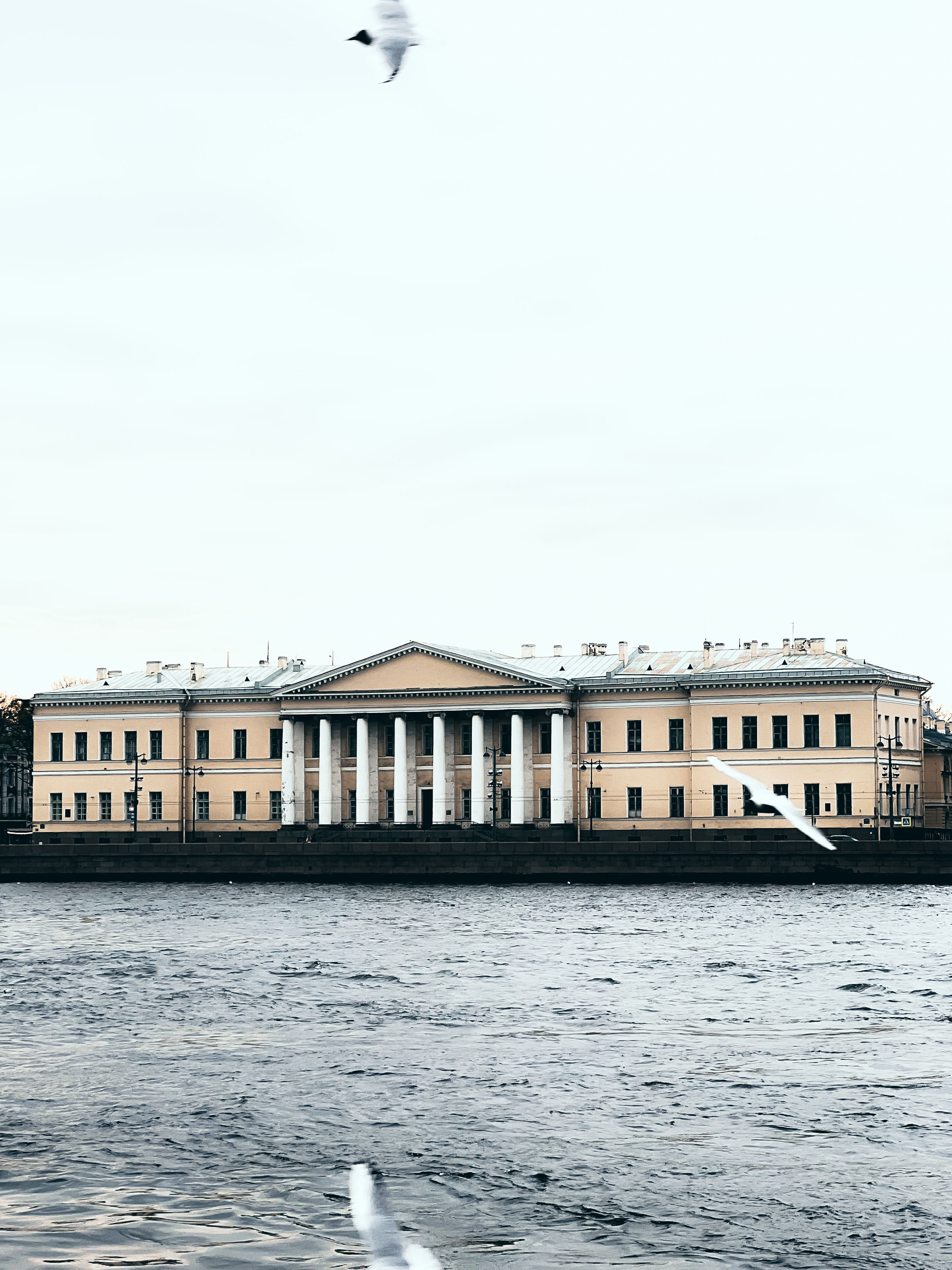Академия наук на Университетской · фото из поездки