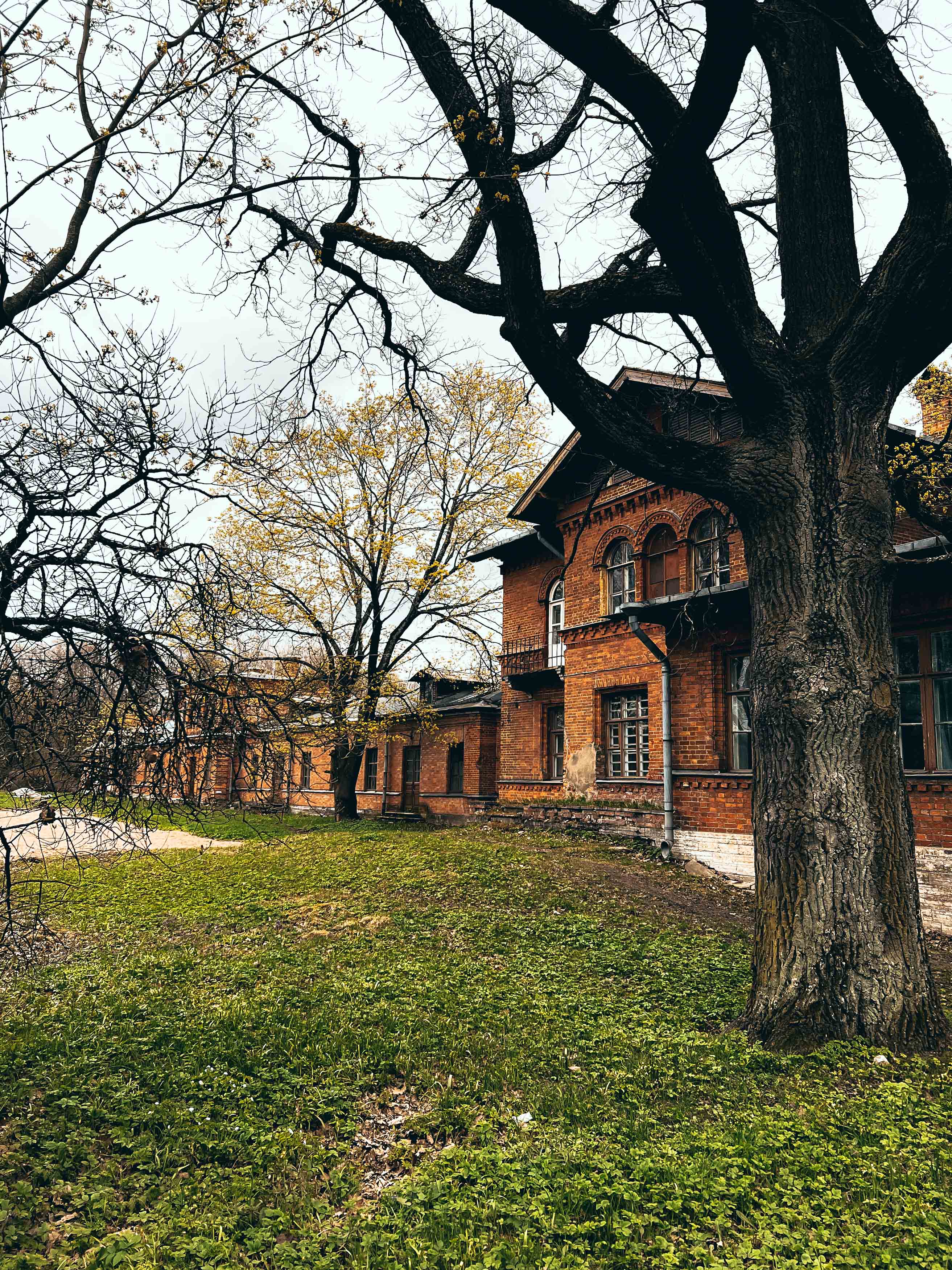 Оранжереи Знаменки
