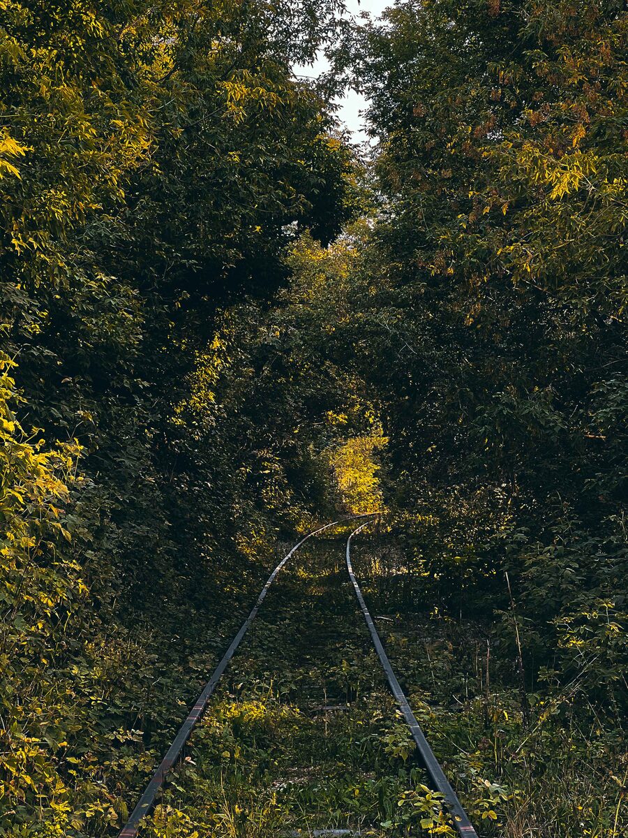 21. Живописный тоннель