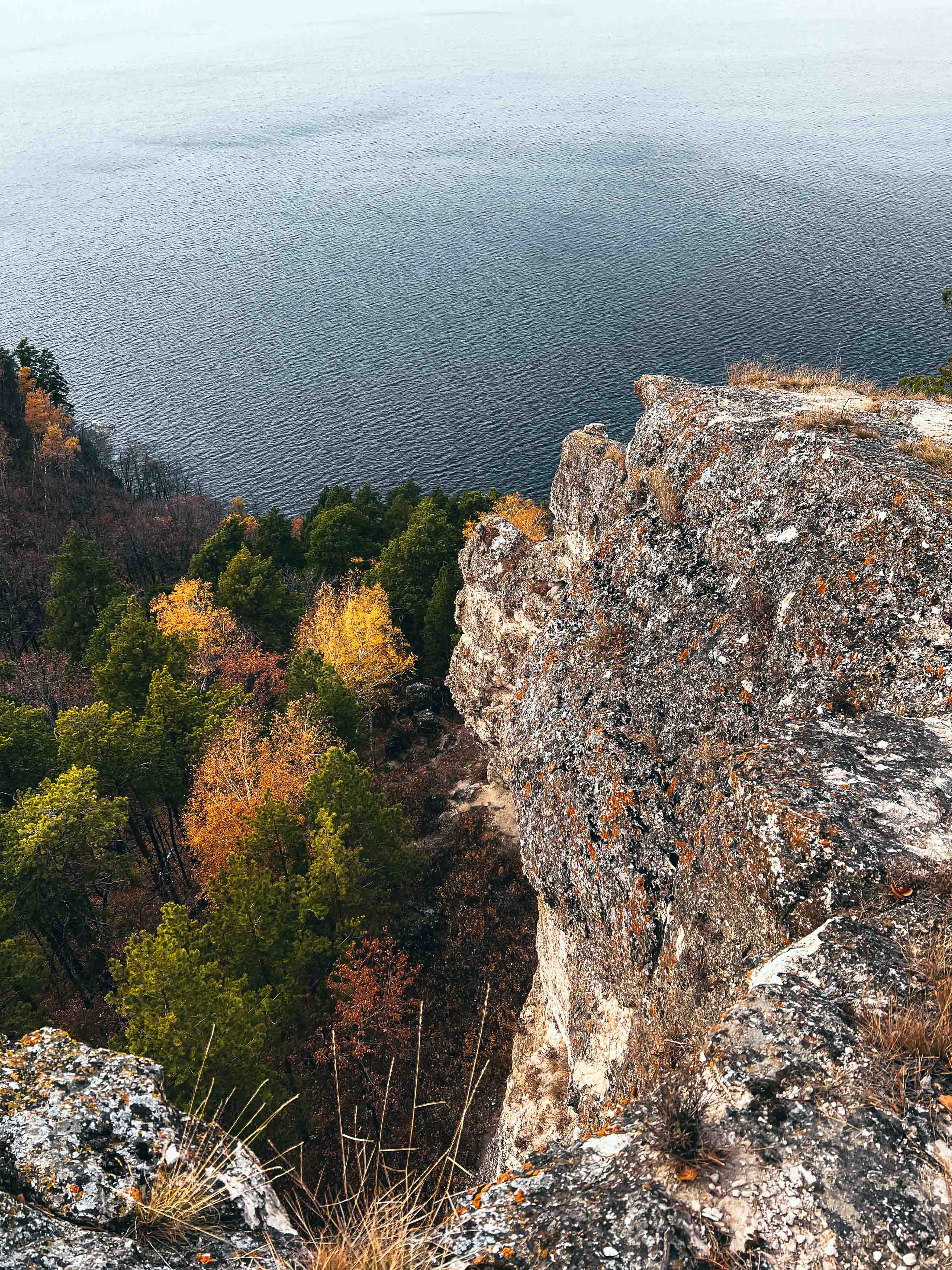 Скала Белый Камень в Самарской области: лес и маршрут