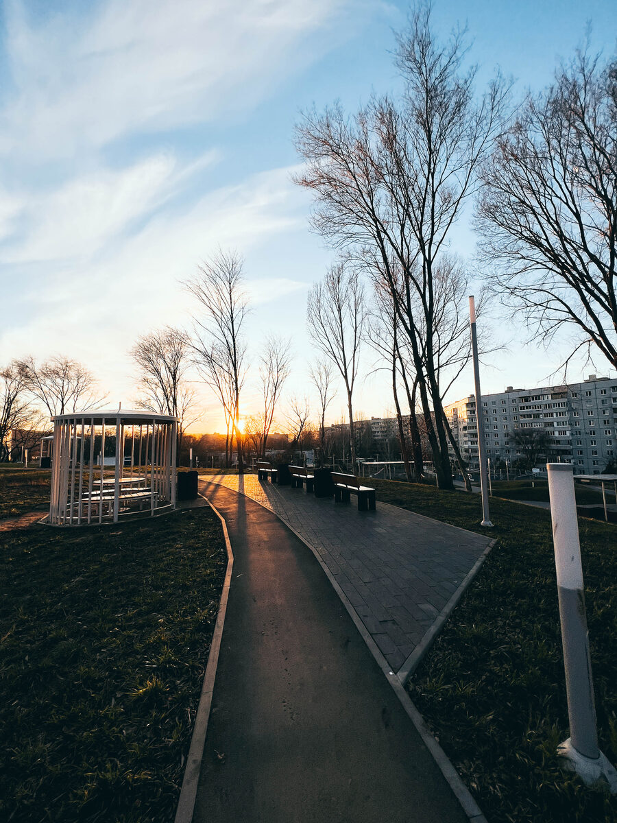 8. Морквашинский сад