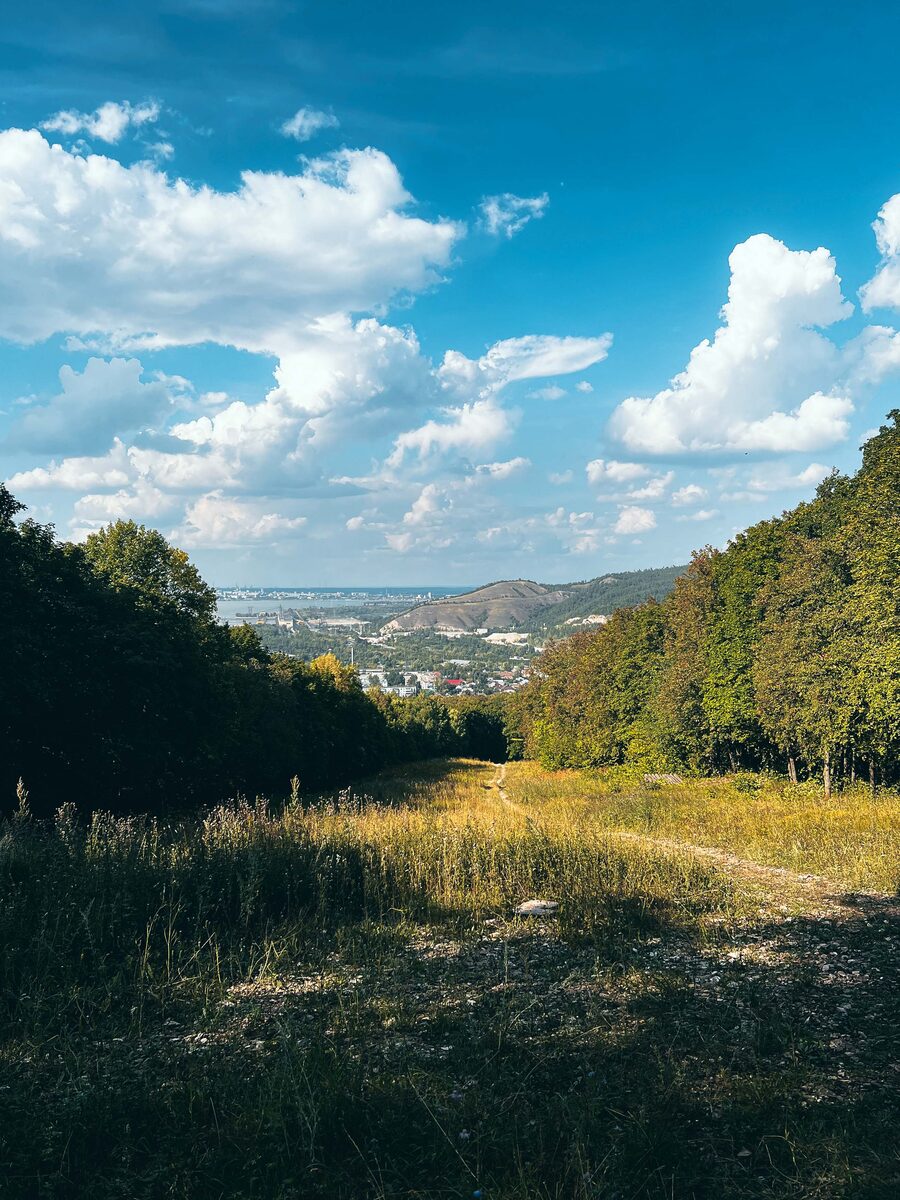 16. Гора Сосновая